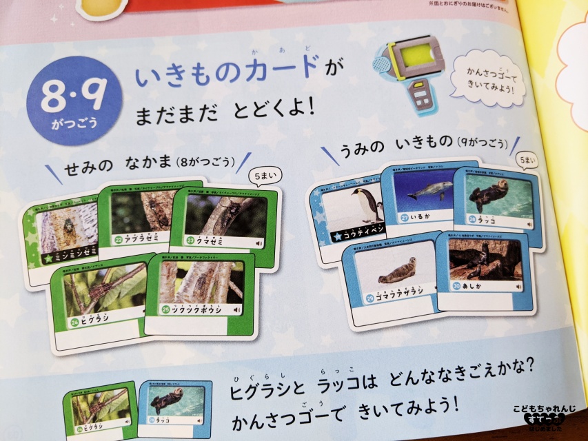 こどもちゃれんじすてっぷ7月号<総合コース>感想・口コミレビュー